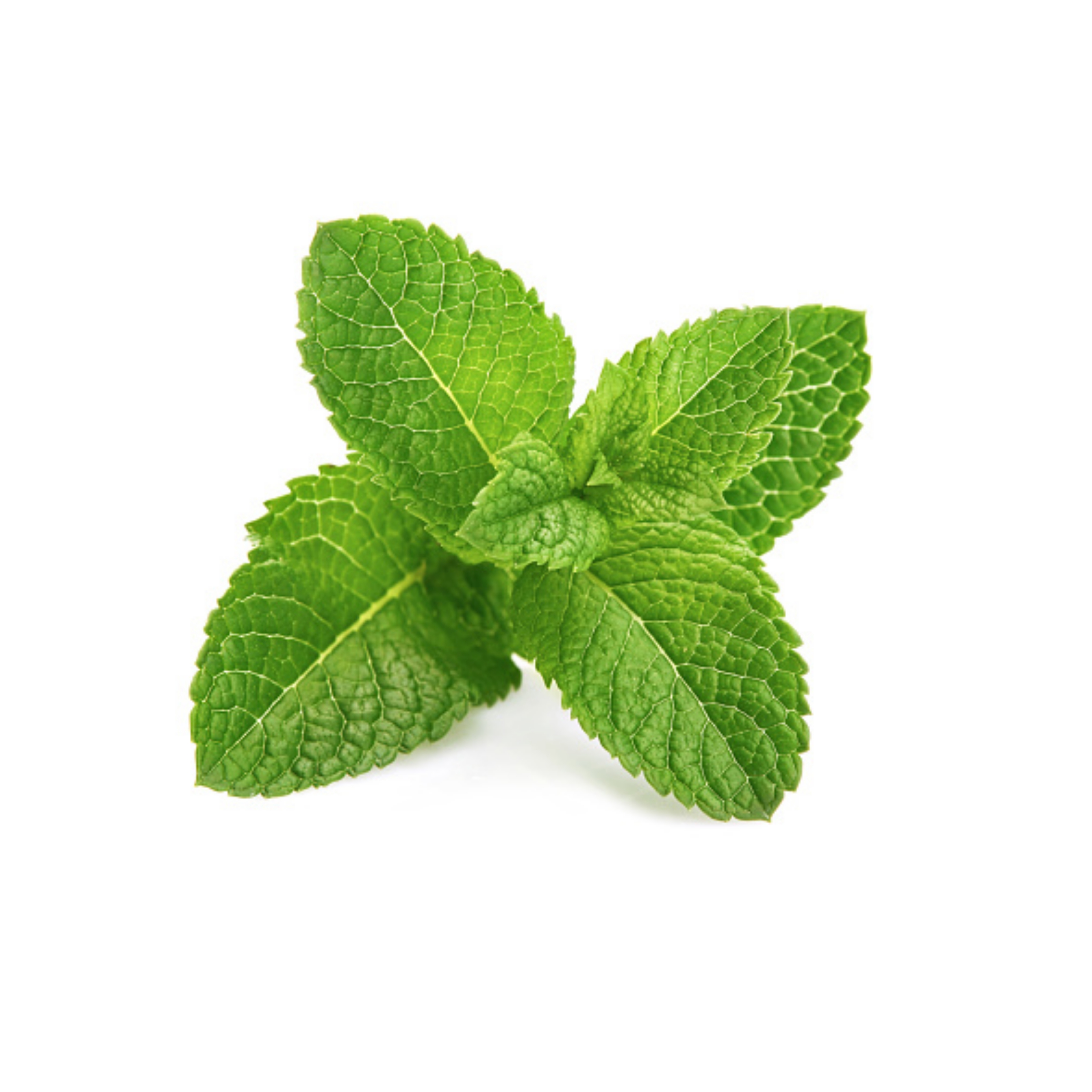 Mint - पुदीना 250gm