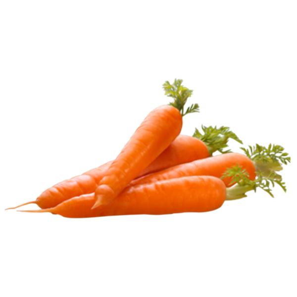 Carrot Orange