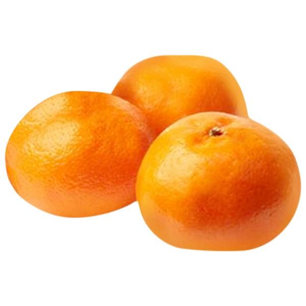 Orange ( संतरा )