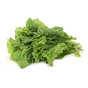 Lettuce - सलाद Green, 1 kg