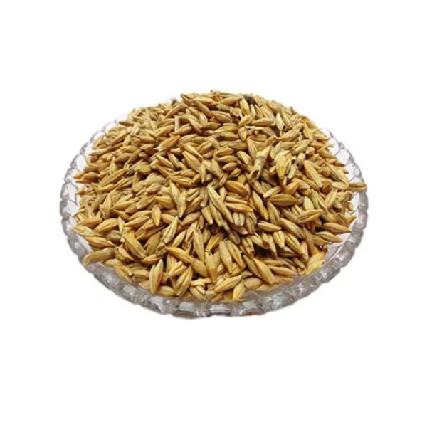Homeqart EARTHLINGS RAW Barley Seeds (Jau) (200 Gram) m