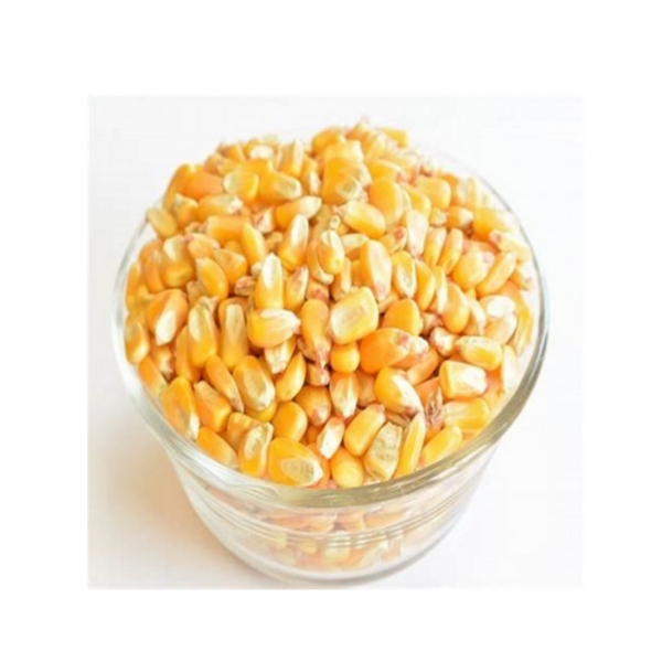 Homeqart Yellow Corn seeds , 500g