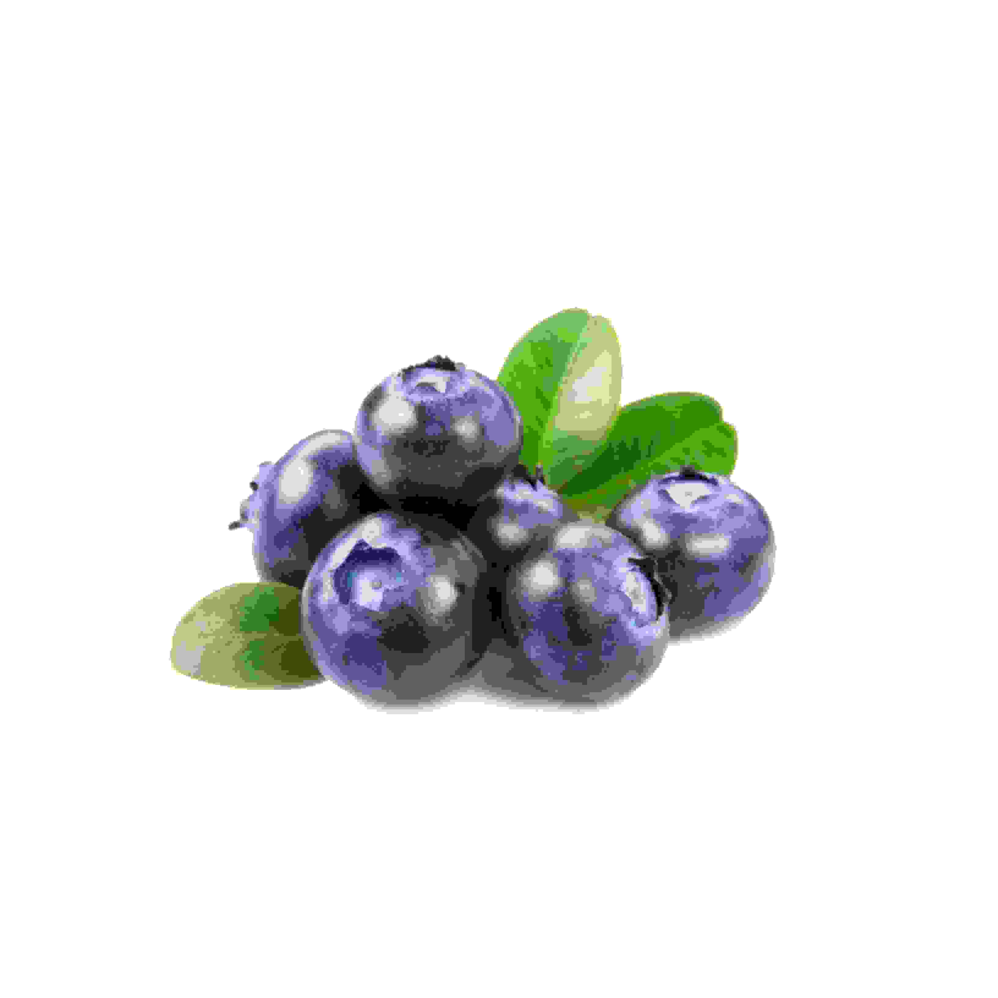 ब्लूबेरी - Blueberry 1kg