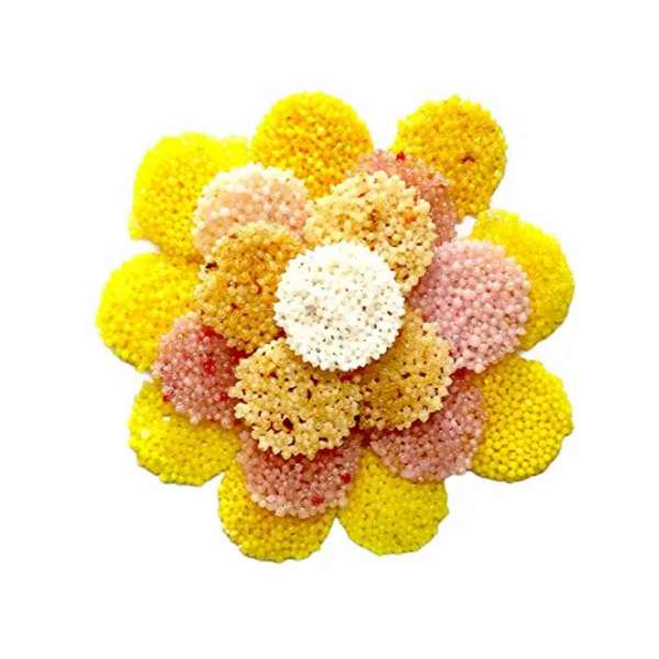 Homeqart Dry Fruit Hub Sabudana Papad Coins 400gm