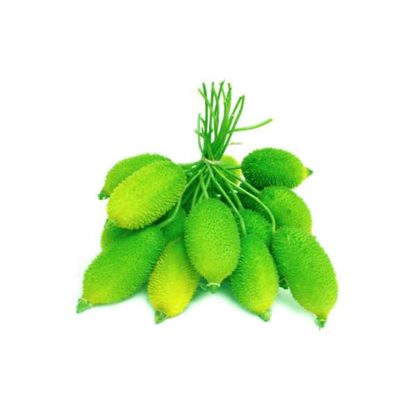 Homeqart fresh Kakrol (Sweet Bitter Gourd)   - मीठा करेले , 500g