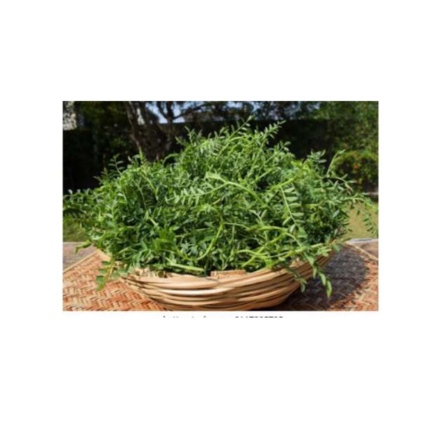 Homeqart fresh  Chickpea leaf - चने की पत्ती, 500 g