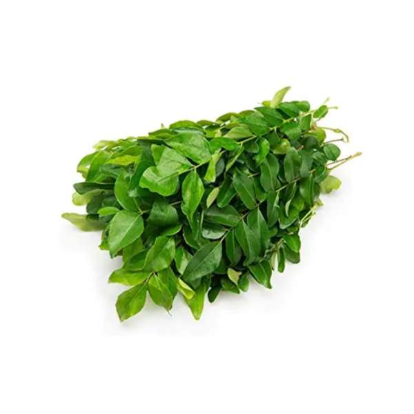 Homeqart fresh Curry Leaves - करी पत्ते , 100g Bunch