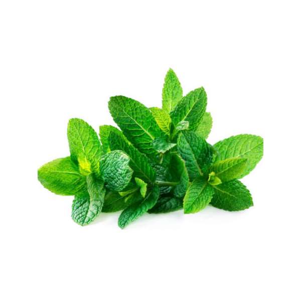 Homeqart fresh mint leaves - पुदीने की पत्तियां  (Pudhinayila) , 200g