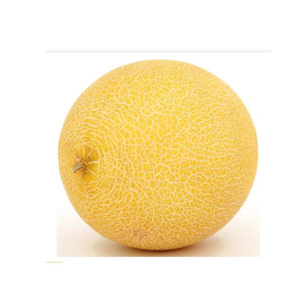 HOMEQART FRESH  MUSKMELON -  खरबूजा ,1 kg