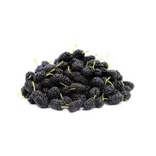 Homeqart fresh Mulberries - शहतूत , 500g