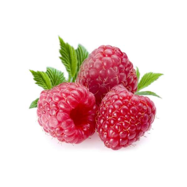 Homeqart fresh Red Raspberry - लाल ताजा , 500 g