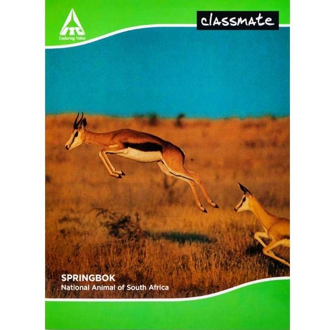 Classmate Single Line Soft Notebook (172 pgs)